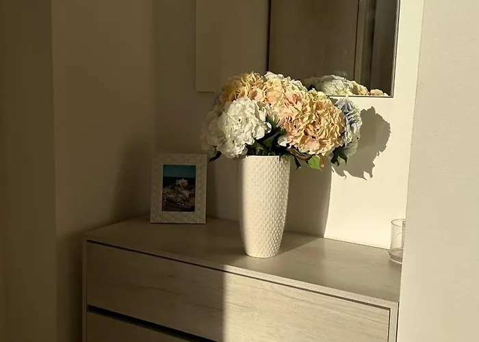 Vicoli Storici Rota *