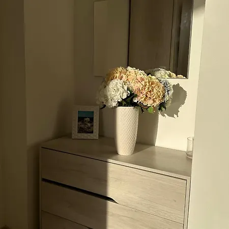 Vicoli Storici Rota *
